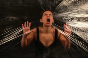 zebra_foto_ruszev_dimiter