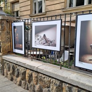 Monotanz Seoul – kerítéskiállítás (4)